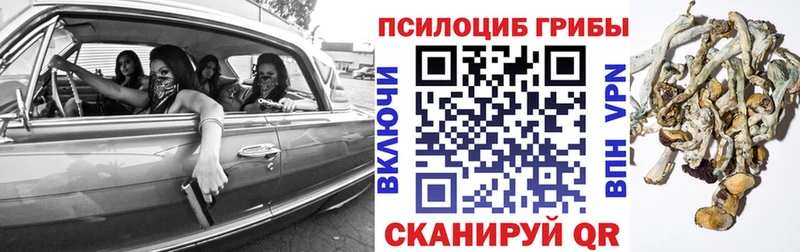 Псилоцибиновые грибы MAGIC MUSHROOMS купить закладку гидра ONION Гурьевск