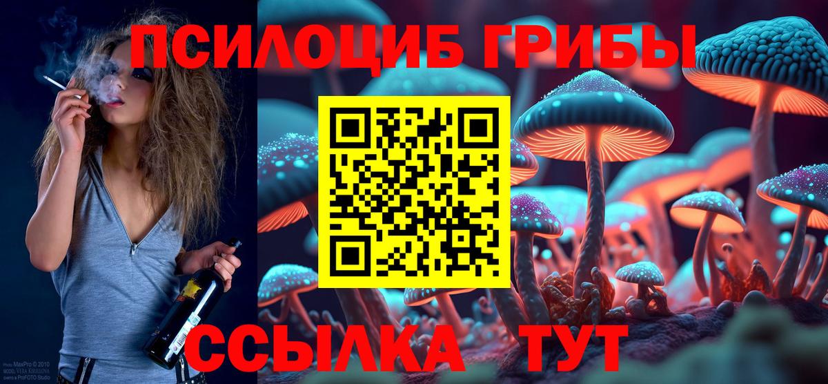Псилоцибиновые грибы ЛСД  Вход с VPN  Галлюциногенные грибы ЛСД  Гурьевск 