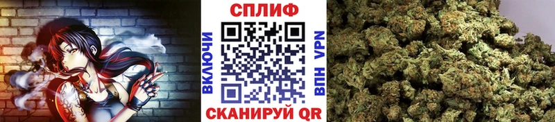 Канабис семена  купить наркоту  MEGA как зайти  Гурьевск 